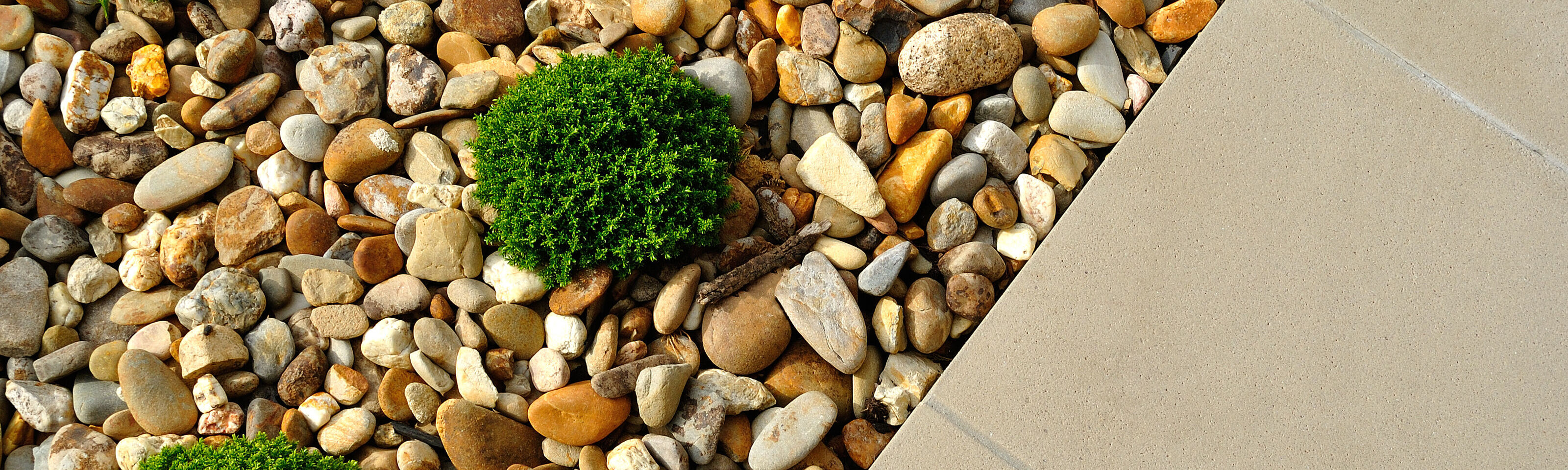 Decorative Aggregates: Gorgeous Greengates Gravel!