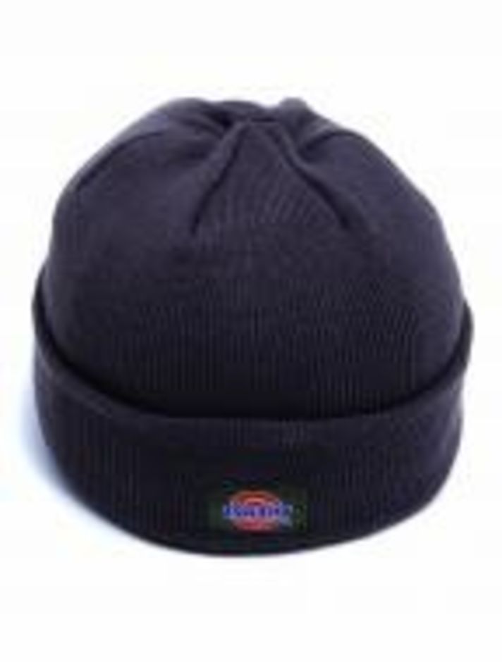 dickies thinsulate hat